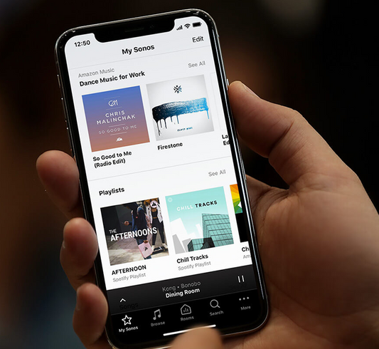 CC1-P Active Pendant Speaker | Sonos Built-in